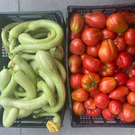 Agriturismo A Canonica غارليندا المظهر الخارجي الصورة