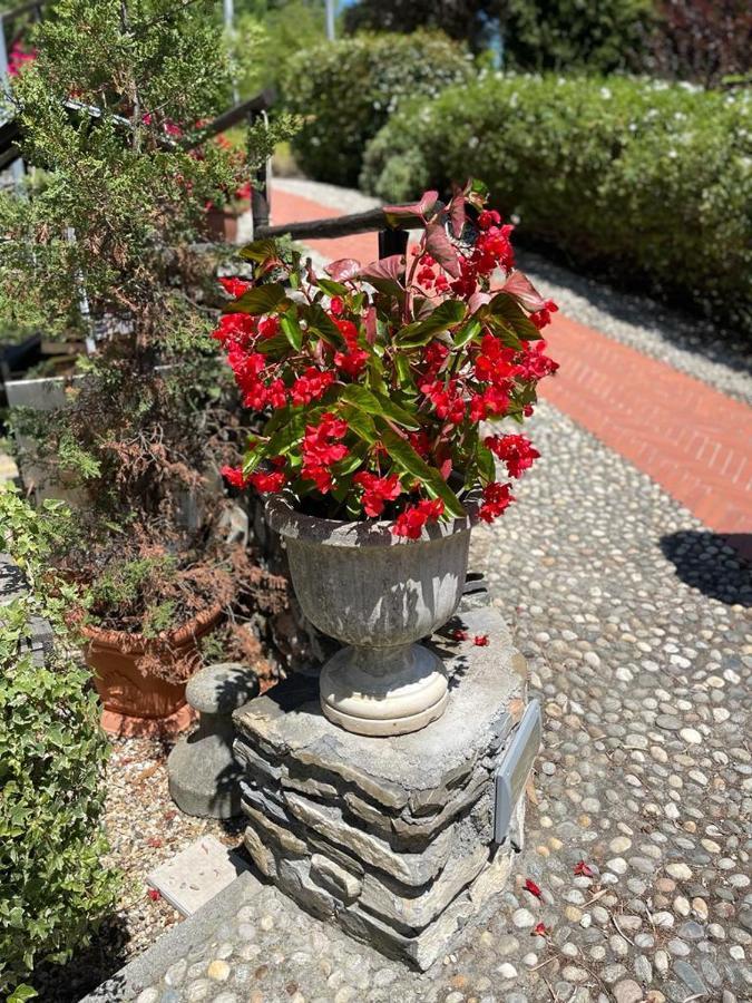 Agriturismo A Canonica غارليندا المظهر الخارجي الصورة
