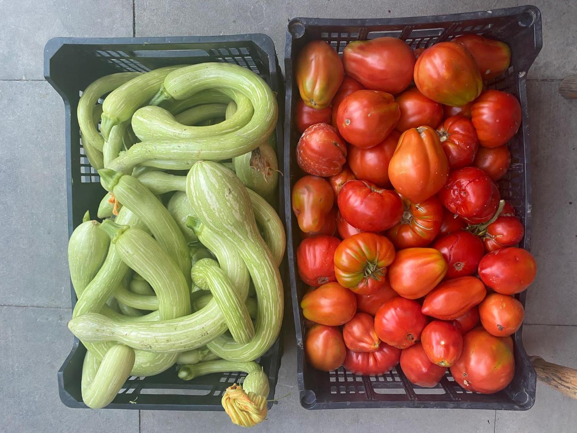 Agriturismo A Canonica غارليندا المظهر الخارجي الصورة