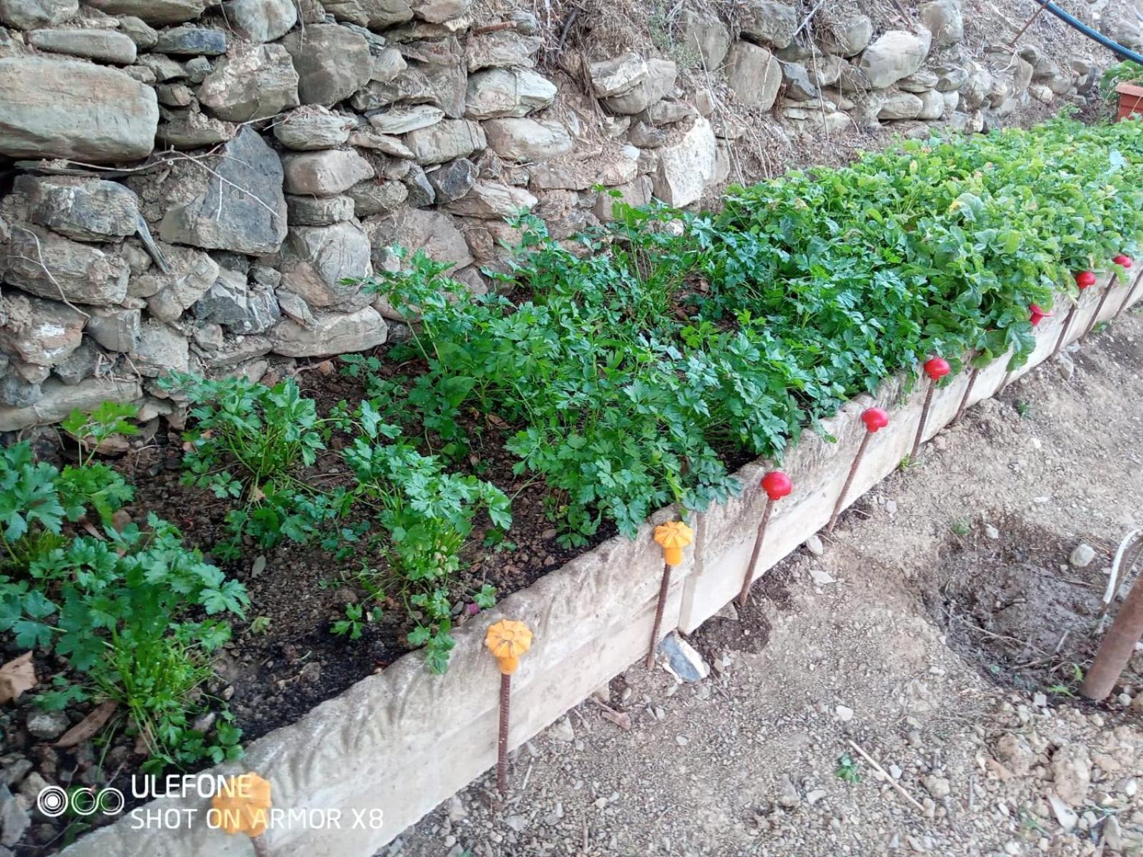 Agriturismo A Canonica غارليندا المظهر الخارجي الصورة