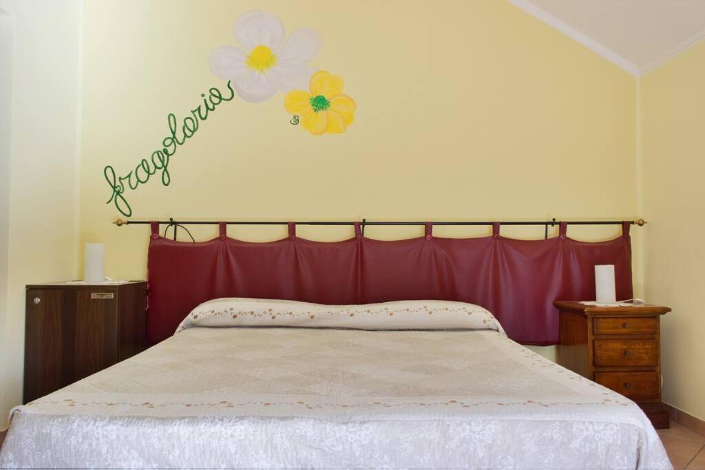 Agriturismo A Canonica غارليندا المظهر الخارجي الصورة
