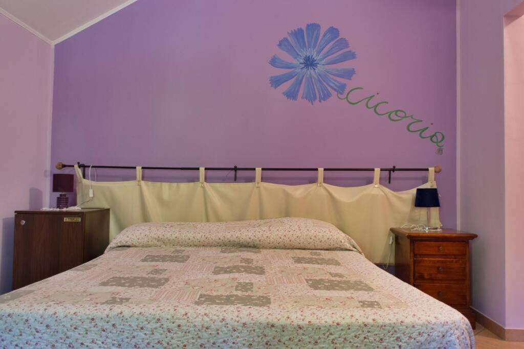 Agriturismo A Canonica غارليندا المظهر الخارجي الصورة